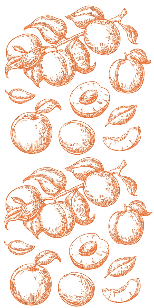 peaches' outline, monochrome